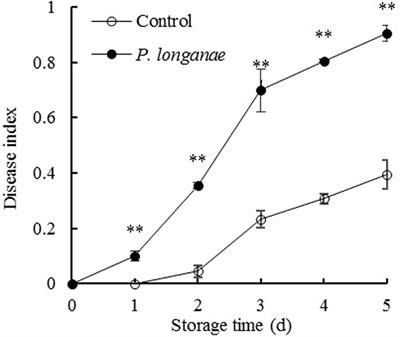 Phomopsis longanae Chi-Induced Changes in Activities of Cell Wall-Degrading Enzymes and Contents of Cell Wall Components in Pericarp of Harvested Longan Fruit and Its Relation to Disease Development